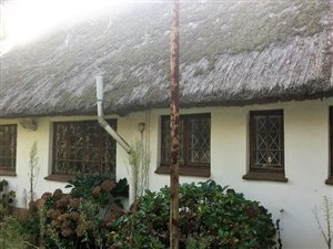 37 ha Farm in Currys Post