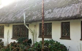 37 ha Farm in Currys Post