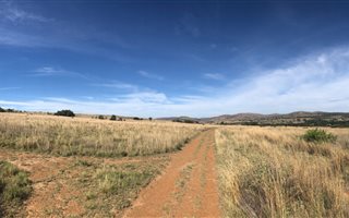 165 ha Farm in Modimole (Nylstroom)