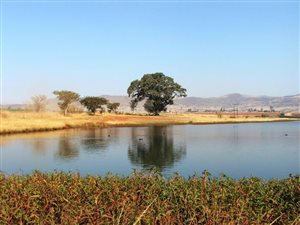 430 ha Farm in Winterton