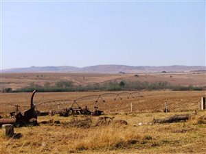 430 ha Farm in Winterton