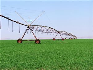 430 ha Farm in Winterton