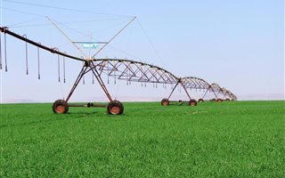 430 ha Farm in Winterton
