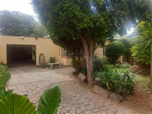 3 Bed House in Malvern East