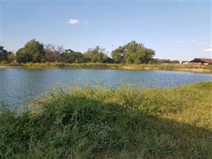 8.5 ha Farm in Brits