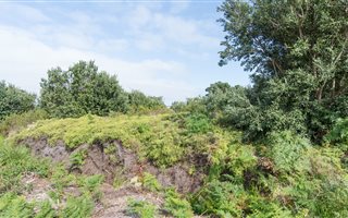 242 m² Land available in Bettys Bay