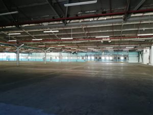 4800 m² Commercial space in Jacobs