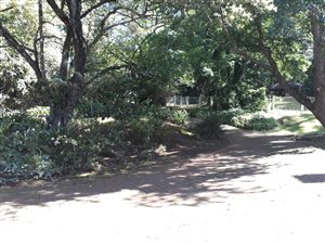 9 ha Farm in Richmond