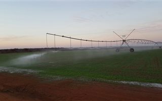 1003 m² Farm in Thabazimbi