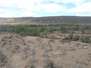 2350 ha Farm in Oudtshoorn