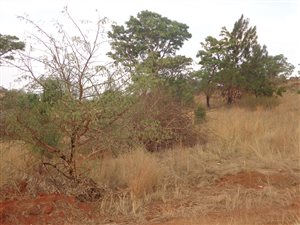 901 m² Land available in Kameeldrift East