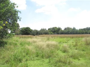 1.1 ha Land available in Eikenhof