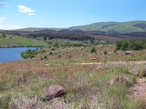 2401 m² Land available in Impendle