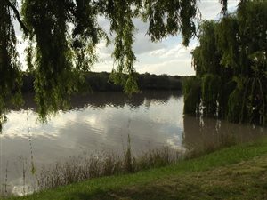 9 ha Farm in Vaalbank