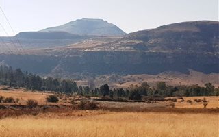 774 m² Land available in Fouriesburg