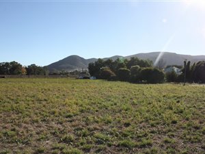 3 ha Farm in Bonnievale