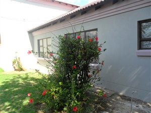 1 Bed Apartment in Rietfontein