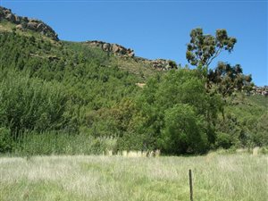 2974 m² Land available in Lady Grey