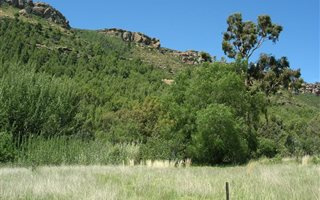 2974 m² Land available in Lady Grey