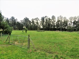 7449 m² Farm in Grabouw