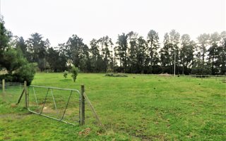 7449 m² Farm in Grabouw