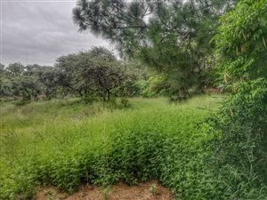7360 m² Land available in Wilkoppies