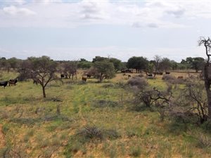 2014 ha Farm in Vryburg