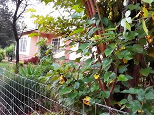 3 Bed House in Hartbeespoort Dam