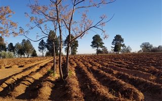 3.4 ha Land available in Bridle Park AH