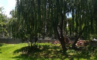 1 Bedroom Garden Cottage in Randpark Ridge