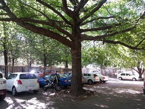 1418 m² Commercial space in Rivonia