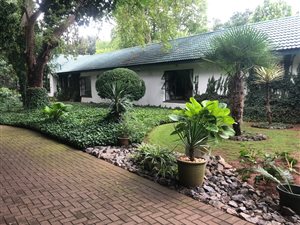 5 Bed House in Highbury