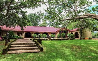 30 ha Farm in Hazyview