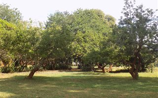 2.3 ha Farm in Aquapark