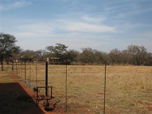 9 ha Farm in Naboomspruit