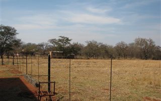 9 ha Farm in Naboomspruit