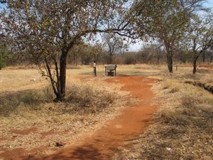 9 ha Farm in Naboomspruit