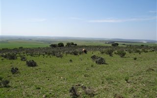 737 ha Farm in Bredasdorp