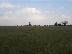 2.4 ha Land available in Nelsonia