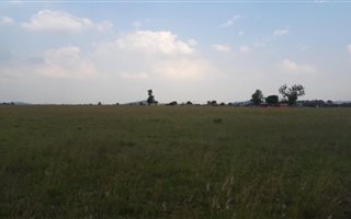 2.4 ha Land available in Nelsonia
