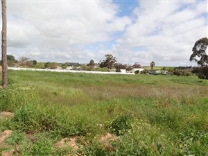 1998 m² Land available in Moorreesburg