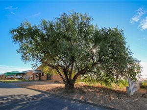 600 m² Land available in Piketberg