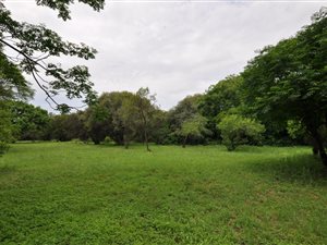 3 ha Farm in North Riding AH