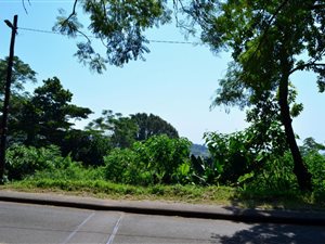 1665 m² Land available in Wyebank
