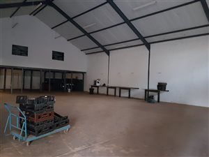 3.3 ha Farm in Magaliesburg