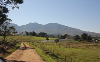 82 ha Farm in Stanford