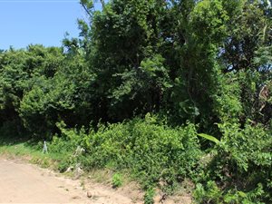 1350 m² Land available in Ramsgate