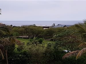 1164 m² Land available in Zinkwazi Beach