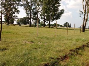 2.1 ha Land available in Withok Estates