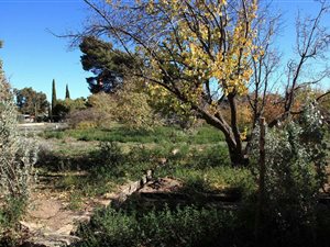 1269 m² Land available in Loxton